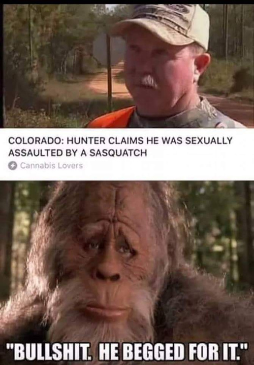 Called My Wife A Fat Hairy Ape No Repurcussions Success Gorilla