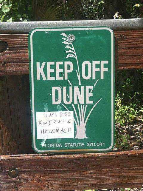 Quotes From Dune Quotesgram