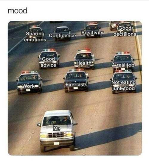 Memes R Us Memes R Us