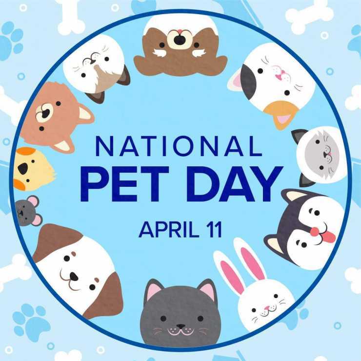 Happy National Pet Day - Agnostic.com