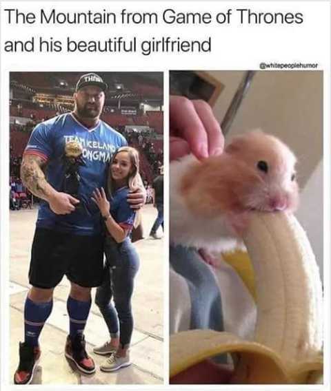 Memes R Us Group
