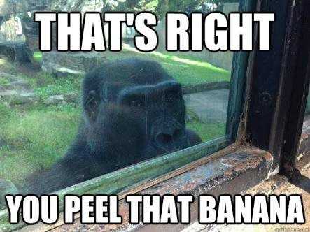 Get Your Stinking Paws Off The Kid You Damn Dirty Ape Imgflip